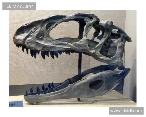 猛龙归来：探索猛龙种群在自然界中的生态作用与保护挑战