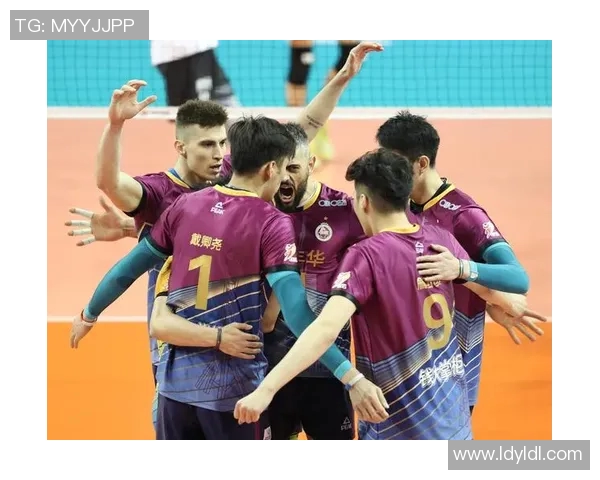 上海排球队战术分析与表现评析全景解读