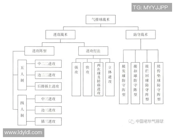 南京排球队反击战术分析与比赛表现的得失总结
