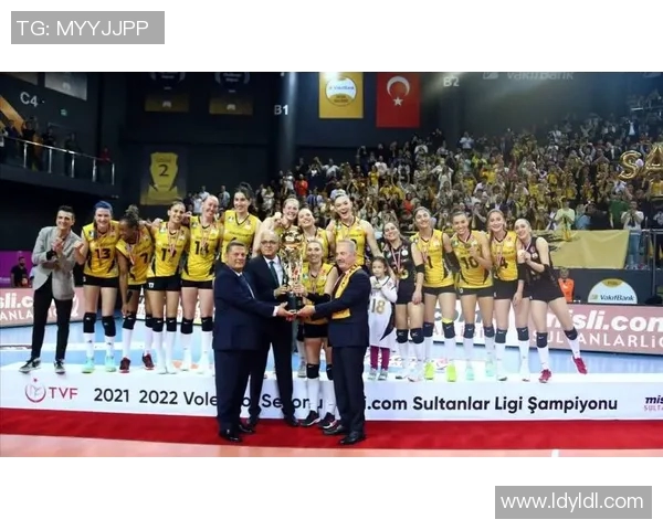 意甲球队最新外援政策及其对联赛的影响