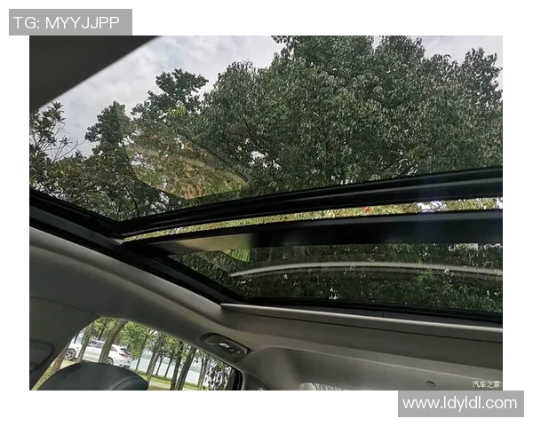 武汉极限运动队节奏表现的数据分析与探讨之旅