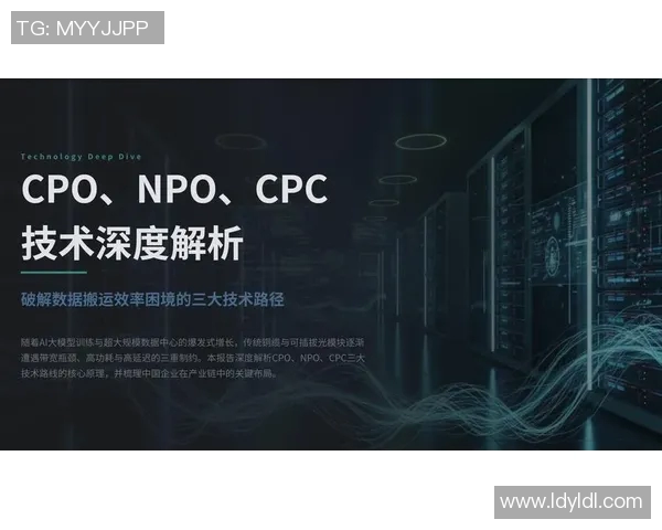 独家解析BLG战术布局与对手策略的深度对比分析