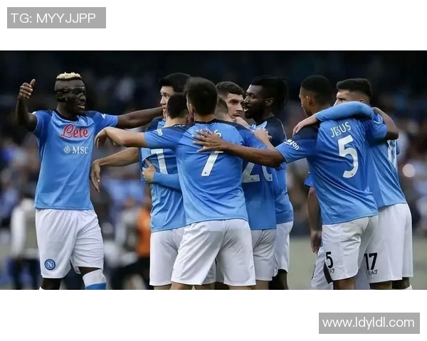 意甲球队财务状况及经济运营分析报告