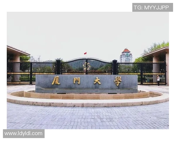 杭州排球队的控制革新探索与实践全景解析