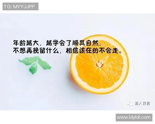 极限运动与人生哲学：周磊的深度对话与心灵探索之旅