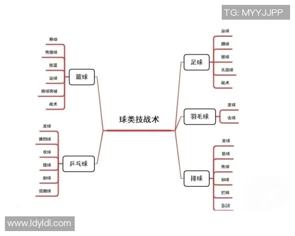 武汉篮球队战术表现深度分析与数据解读探讨