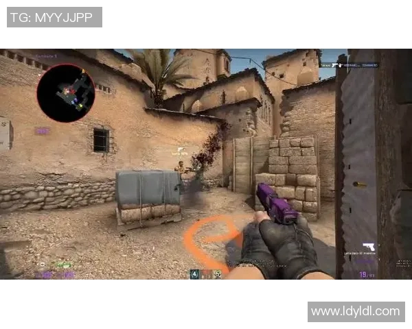 深入分析FPX在CSGO中的阵地战策略与战术运用