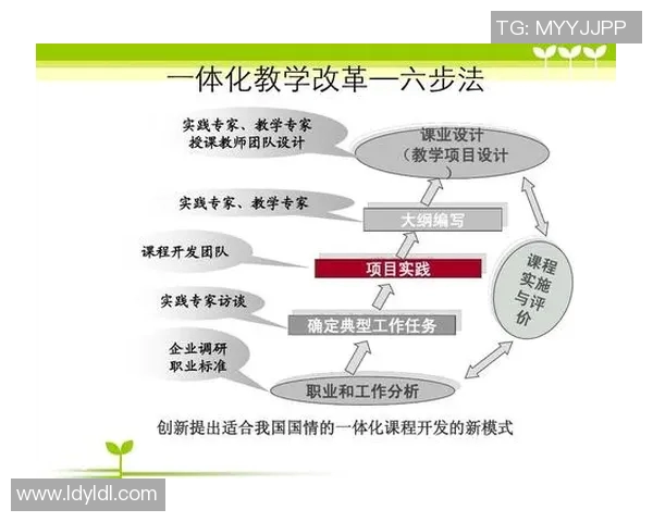 上海羽毛球队团队协作新模式探讨与实践成果分享
